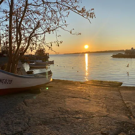 Appartement Paradiso B 411 Large Sea View *